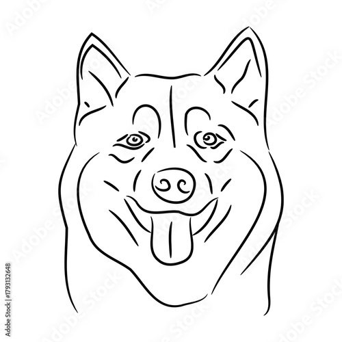 head of Alaskan malamute dog, sketch of black art brush lines