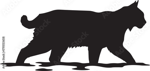 Majestic bobcat silhouette walking gracefully in natural habitat outdoor scene