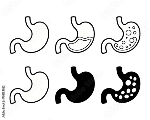 Stomach diagram stomach anatomy human stomach organ digestive system stomach health stomach problems stomach issues