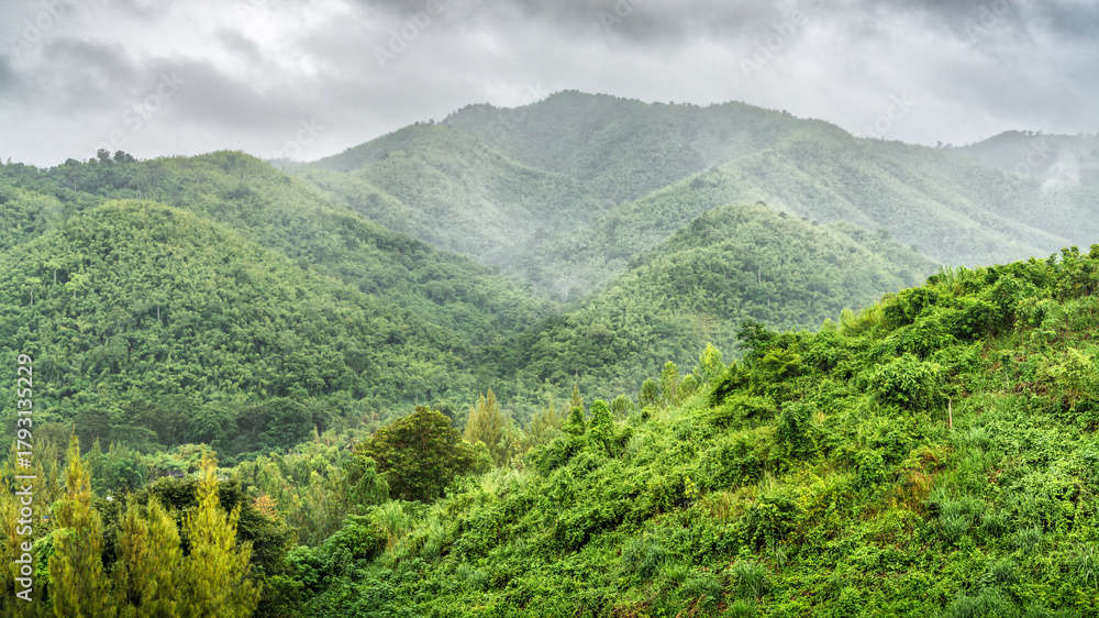 Fototapeta premium the view - die Aussicht