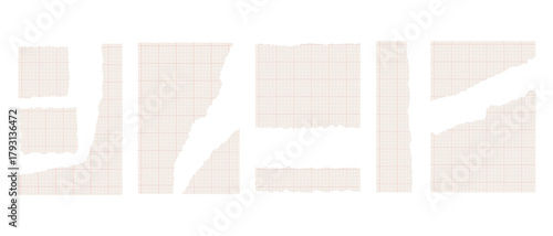 Set of Torn Vintage Ledger and Graph Paper Pieces with Rough Edges, Vector Scrapbook Design Elements
