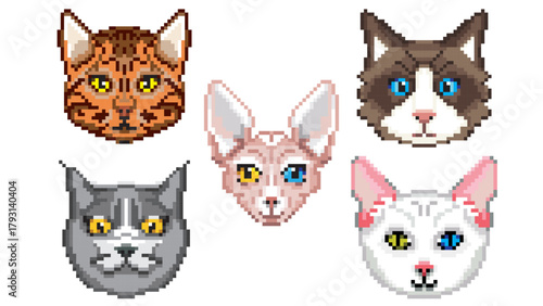 Pixel Art Cat Avatars Collection. 8-bit Style Set of Various Feline Breeds with Heterochromia.