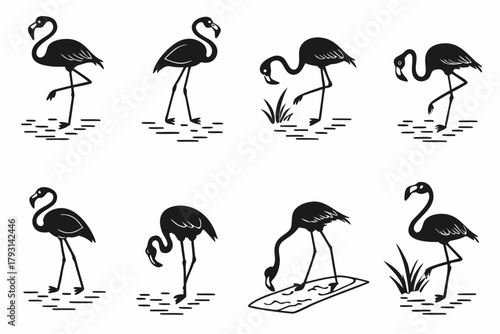 Playful minimalist flamingo icon set with vibrant colors