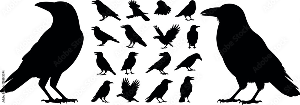 Obraz premium Bird silhouettes vector set, flying birds clipart, eagle crow raven icons, nature wildlife, animal collection, isolated black silhouettes, graphic design elements