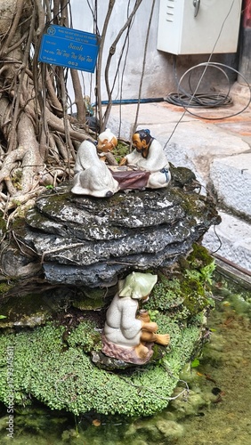 japanese koi fish in pond