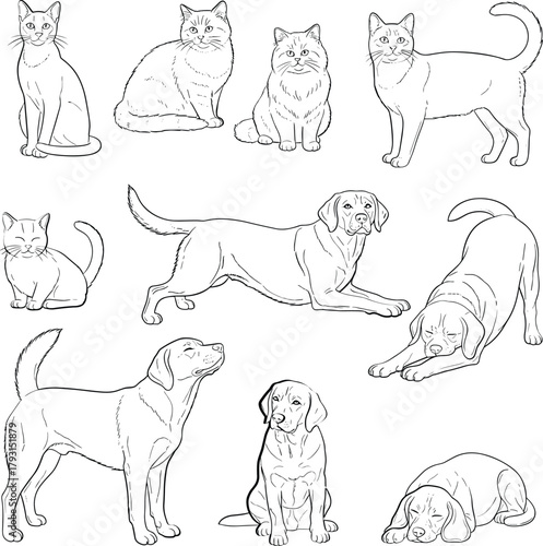 Collection of hand drawn sketches featuring various breeds of dogs and cats