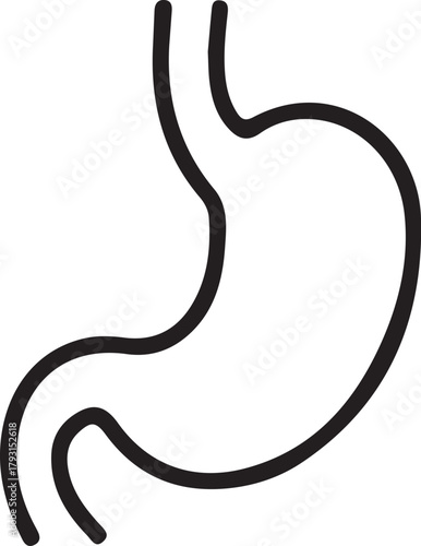 Human Stomach Organ Line Art Icon - Digestive System Anatomy Vector