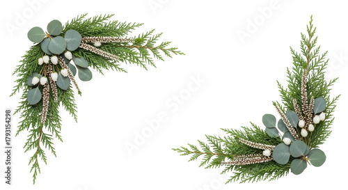 Photos Isolated festive sprigs of greenery with eucalyptus leaves and small flowers, ho