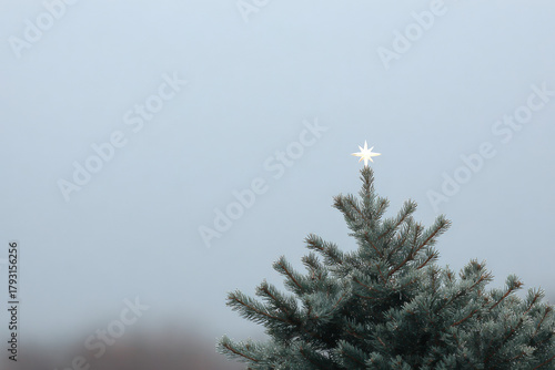 stunning captures ultrabright star atop evergreen tree set against gloomy gray sky