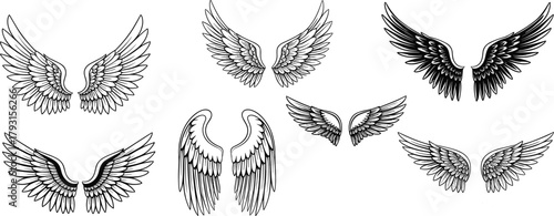 PrintAngel wing illustration, bird feather design, fantasy symbolic wings, black and white artistic motif, tattoo inspiration, logo element, decorative artwork collection