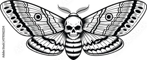 moth with skull, gothic insect art, black and white illustration, tattoo style design, death moth, symmetrical wings, dark symbolism