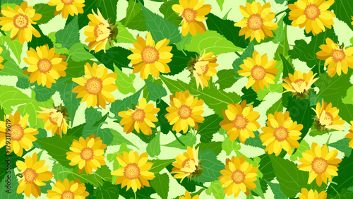 Wallpaper seamless yellow mexican sunflower, garden flower textile design