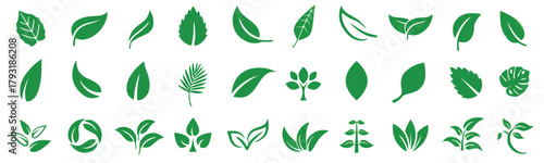 leaf, plant, nature, green, icon, symbol, foliage, botanical, organic, eco, growth, tree, branch, sprout, design, element, collection, set, isolated, white background, vector, silhouette, natural, veg