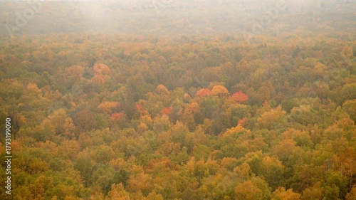 Overcast autumn forest with colorful foliage seen from above, time lapse. Dense woodland expanse under a misty sky. Natural landscape background for fall season.