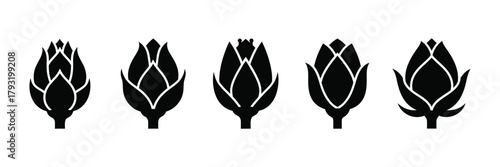 Five artichoke buds in different stages, Flower bud icon