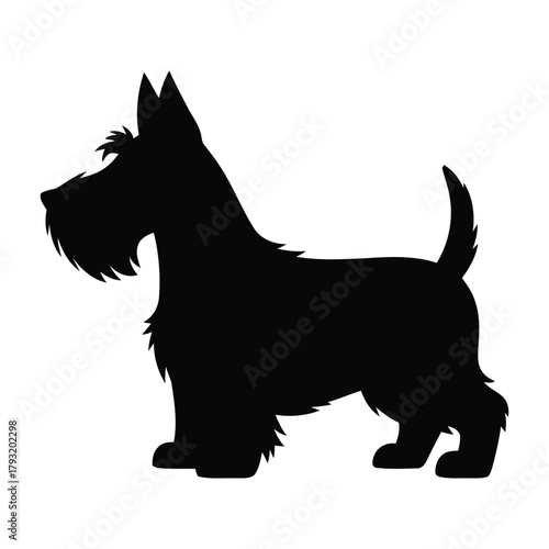 A black silhouette of a Scottish Terrier dog stands against a white background.