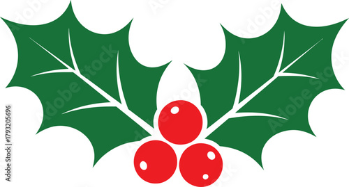 Festive foliage design with holly berry leaves and red berries for holiday season. Traditional plant decoration elements for winter celebrations and themes.