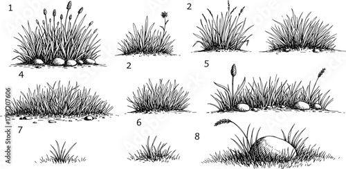 Diverse hand-drawn botanical elements featuring various grass clumps, reeds, and natural stones, offering a rustic aesthetic for creative design projects