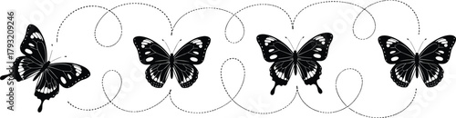 Butterfly silhouette vector, whimsical flight path, black insect design, graceful motion, nature symbol, minimal style, flying wings, outline graphic