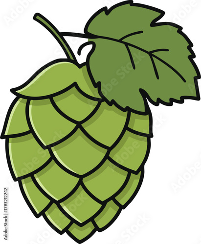Green hop cone with leaf vector illustration for brewing and beer making design elements 
