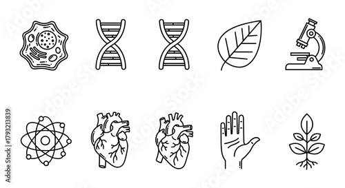 Linear icons of science and nature: dna, microscope, atom, and more