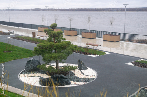 landscaping with pine bonsai on the foggy embankment