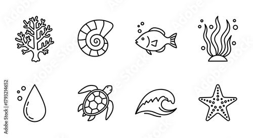Ocean life icons collection: coral, shell, fish, seaweed, water drop, turtle, wave, starfish