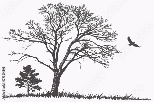 African Savannah Landscape Vector Illustration - Blue Duotone Graphic