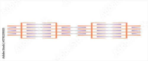 Muscular Sarcomere Structure Science Design. Vector Illustration.