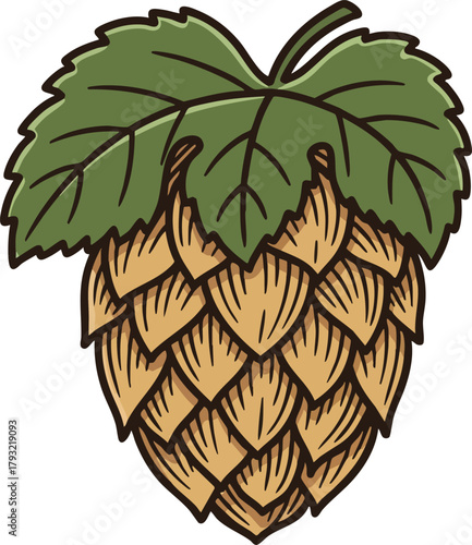Hop Cone with Green Leaf Botanical Illustration for Brewing and Gardening Use Vector Graphic 