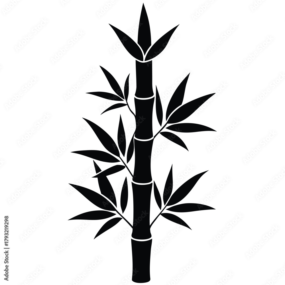 Fototapeta premium bamboo shoot on white