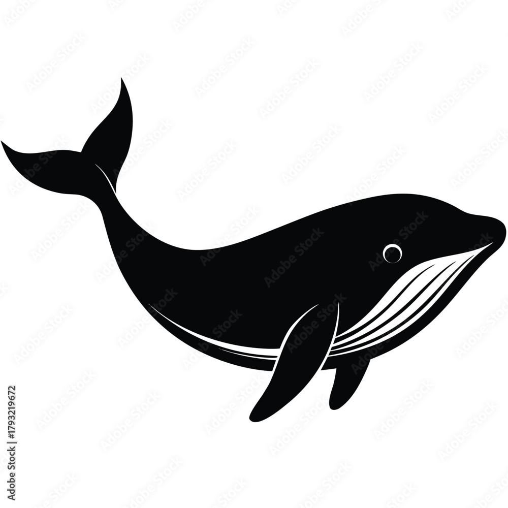 Fototapeta premium whale on white vector style
