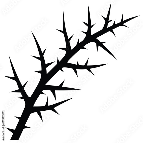 thorn branch on white