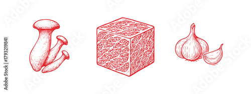 Wagyu Beef Cube Cut Garlic and King Oyster mushrooms Vector Illustration – Premium Meat Clipart for Culinary, Packaging Gourmet Design Projects