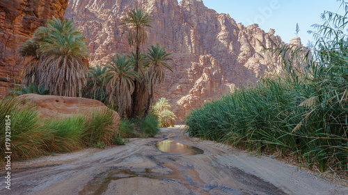 Saudi Arabia. Al Disah Wadi