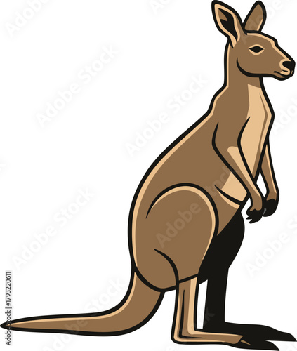 Kangaroo standing side view animal wildlife marsupial vector illustration natural habitat design 