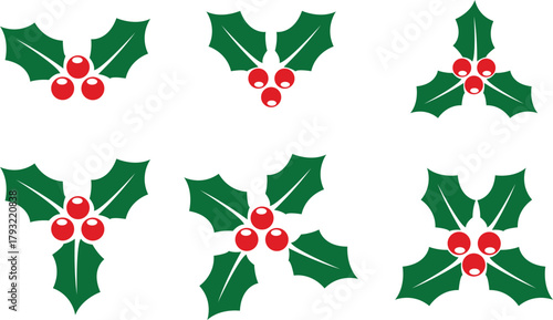 Festive holly leaf decoration collection