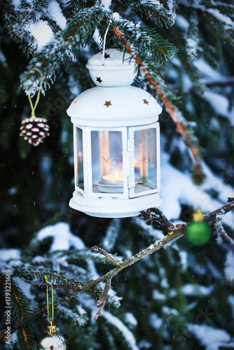 Christmas lantern with candle on branch of snowy winter tree, outdoors