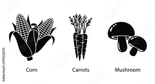 Black and white illustration depicting corn carrots and mushrooms together