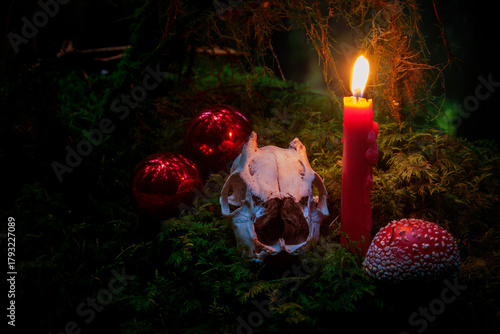 Amid damp moss lies a weathered animal skull, eerily lit by red candlelight. A poisonous fly agaric and dark baubles give this Christmas motif for horror fans a hauntingly festive mood.