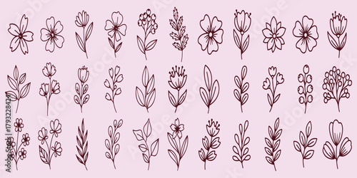 Floral Icons Set, Collection Of Hand Drawn Flower And Leaf Symbols For Wedding Design Project Management And Nature Decoration Applications

