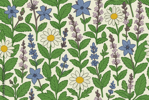 Seamless botanical pattern with chamomile and lavender