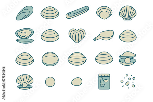 Clam, oyster, and pearl lifecycle icon set