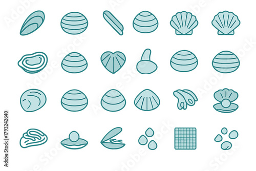 Shell and mollusk icon set