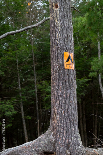 A Campsite Marker in Killarney Provincial Park on Johnnie Lake