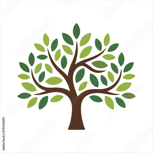 Stylized illustration of a healthy deciduous tree with green leaves and brown trunk on a white background