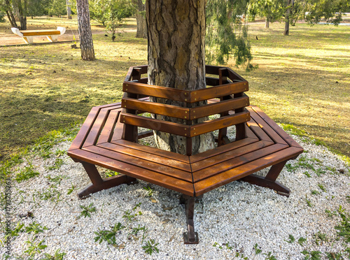 A circular bench built around a tree trunk in a park
