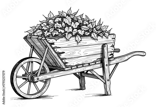 Wooden Wheelbarrow with Leaves in Vintage Engraving Style. Vector Illustration for Rustic Simplicity.