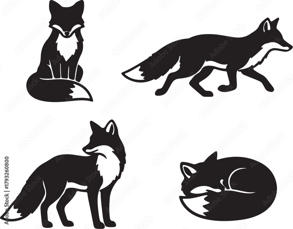 Fototapeta premium Four black silhouette illustrations of foxes in different poses vulpine animal on transparent background