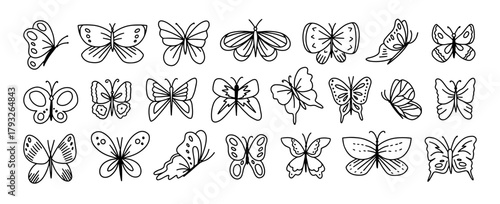Doodle butterfly. Sketch flying butterflies with beautiful wings. Spring cartoon insects black silhouette. Elegant simple moth clipart. Vector isolated set